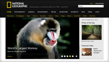 云呼死你网页版